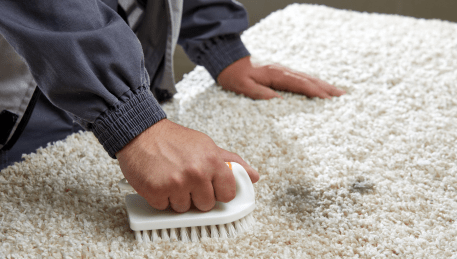 Professional Rug Cleaning Gordon