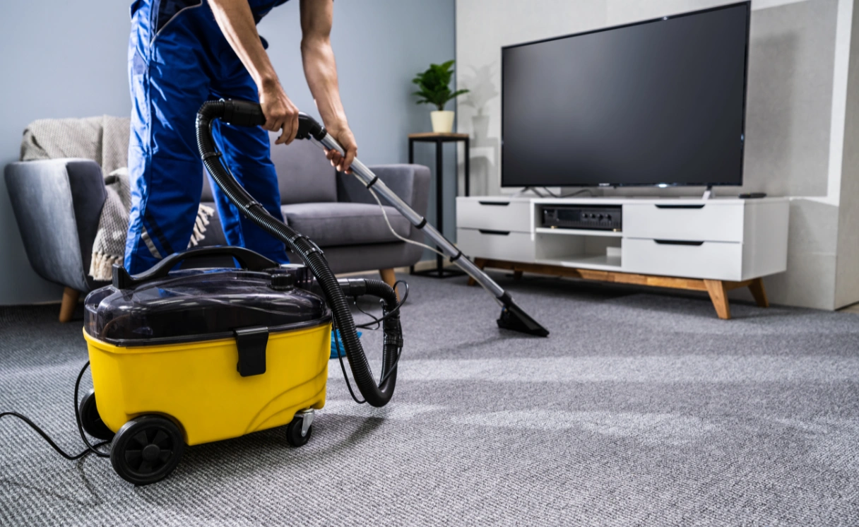 Extract Rug Cleaning Gordon Contact Office